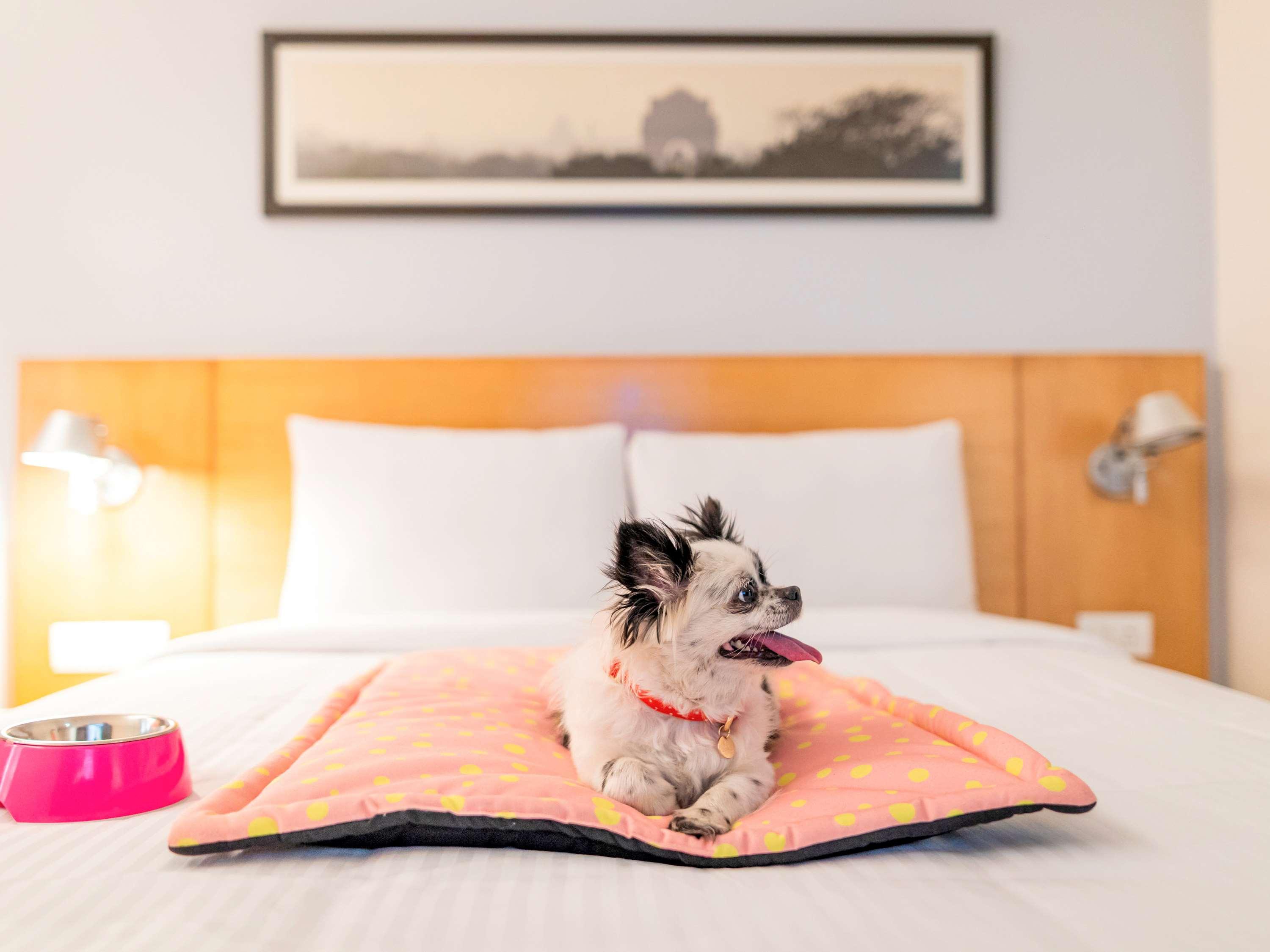 Ibis Jaipur City Centre - An Accor Brand Экстерьер фото